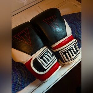 Title Boxing Gel World Bag Gloves